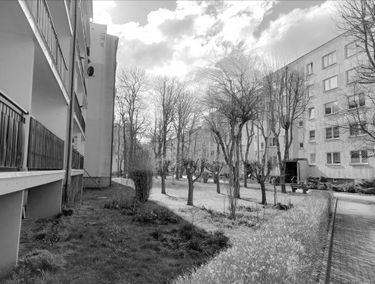 Zdjęcie 15090492
