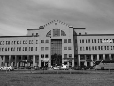 Zdjęcie 15090538
