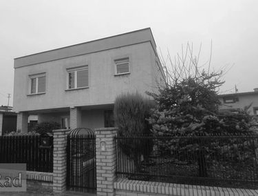 Zdjęcie 15091073