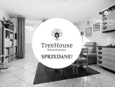 Zdjęcie 15091310
