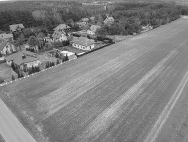 Zdjęcie 15091429