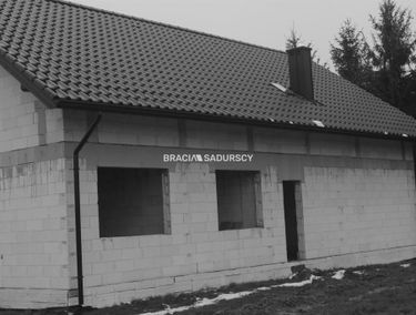 Zdjęcie 15091467