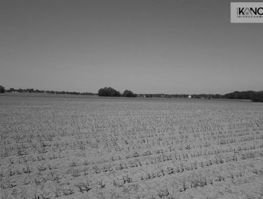 Zdjęcie 15092754