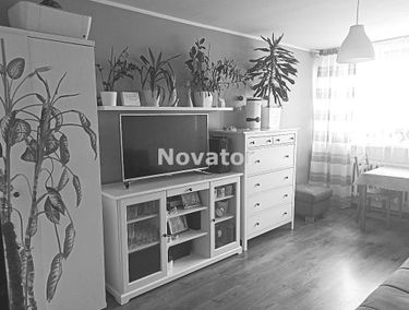 Zdjęcie 15093096