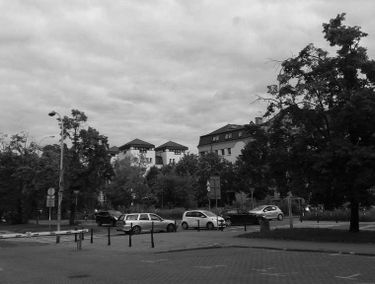 Zdjęcie 15093900