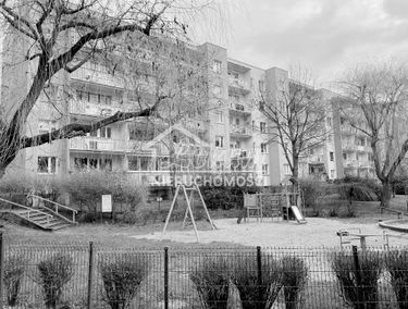Zdjęcie 15094803