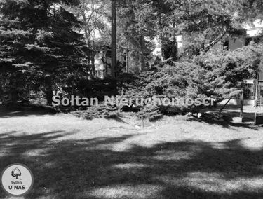 Zdjęcie 15094838
