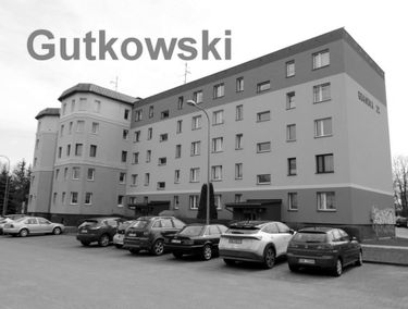 Zdjęcie 15094879