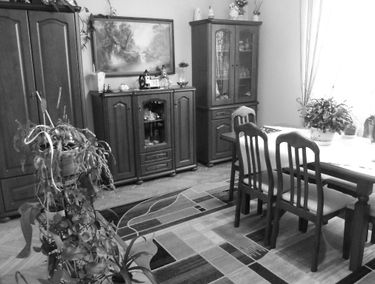 Zdjęcie 15095048
