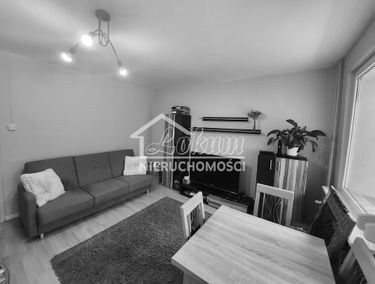 Zdjęcie 15095085