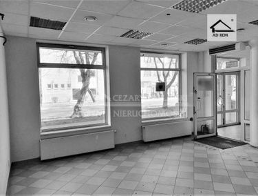 Zdjęcie 15095448