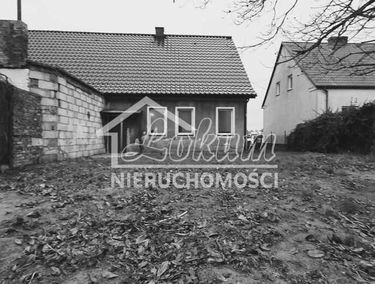 Zdjęcie 15098924