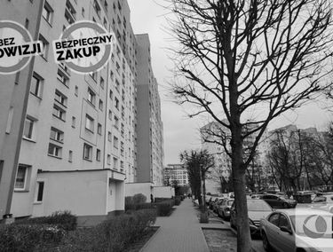 Zdjęcie 15099094