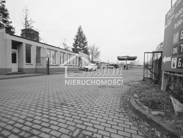 Zdjęcie 15100188