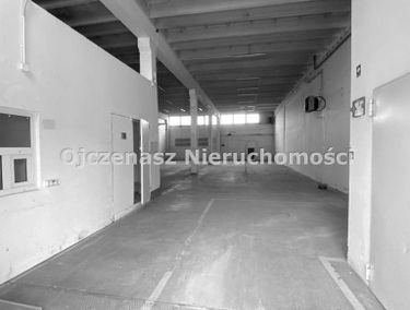 Zdjęcie 15100248
