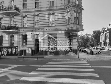 Zdjęcie 15100271