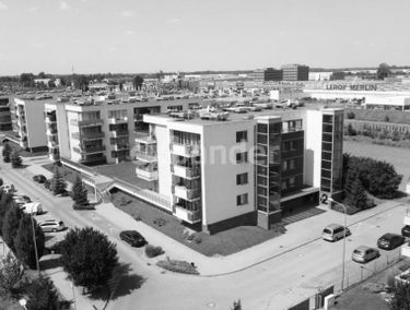 Zdjęcie 15100381