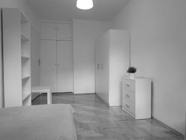 Zdjęcie 15100603