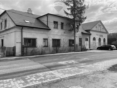 Zdjęcie 15101058