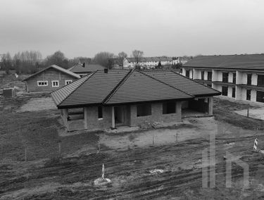 Zdjęcie 15101289