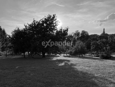 Zdjęcie 15101314