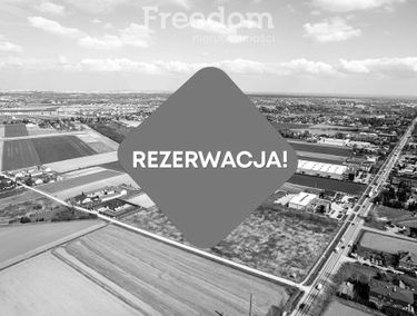 Zdjęcie 15101510