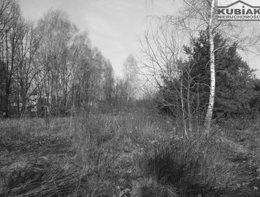 Zdjęcie 15101597