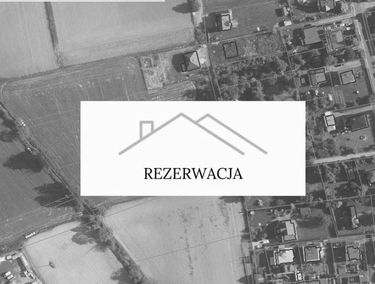 Zdjęcie 15102279