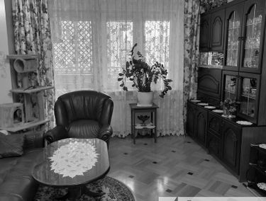 Zdjęcie 15102304