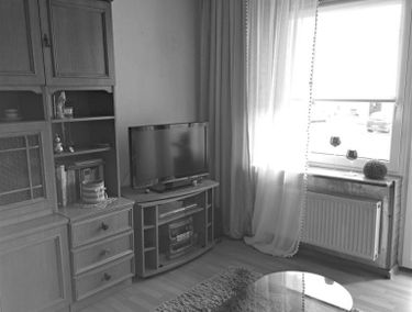 Zdjęcie 15102307