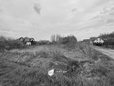 Zdjęcie 15104243