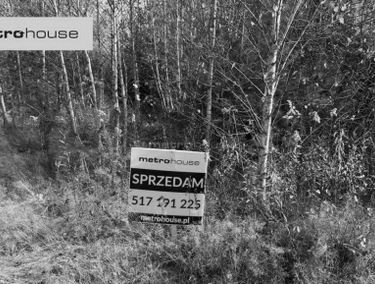 Zdjęcie 15104251