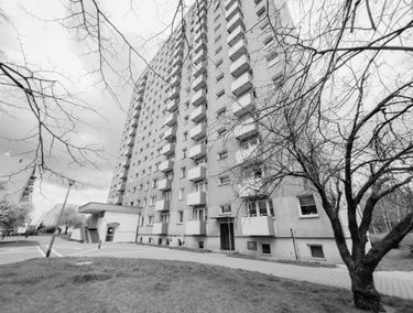 Zdjęcie 15104536
