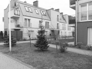 Zdjęcie 15105086
