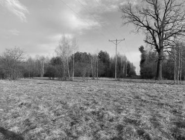 Zdjęcie 15105104