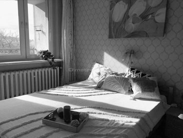 Zdjęcie 15106505