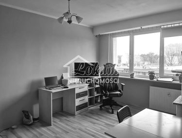 Zdjęcie 15106633
