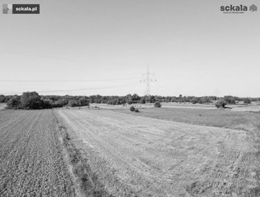 Zdjęcie 15106965