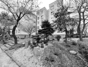 Zdjęcie 15107830