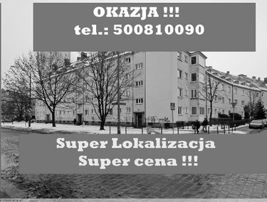 Zdjęcie 15107864