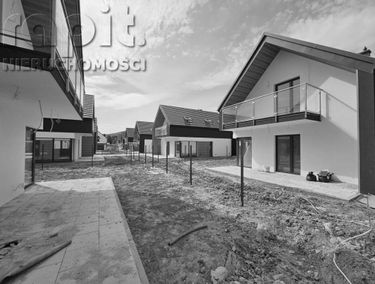Zdjęcie 15108446