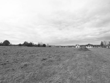 Zdjęcie 15108675