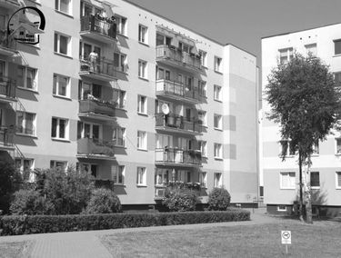 Zdjęcie 15108816