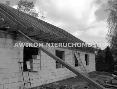 Zdjęcie 15111259