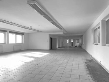 Zdjęcie 15111308