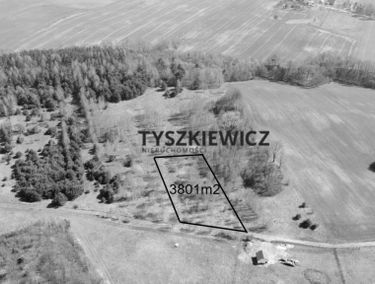Zdjęcie 15111495