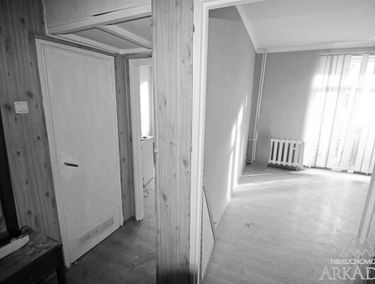 Zdjęcie 15111625