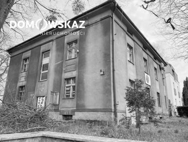 Zdjęcie 15111909