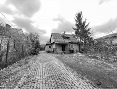 Zdjęcie 15111974