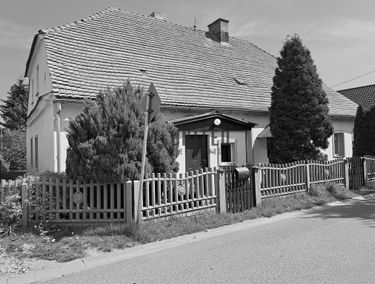 Zdjęcie 15111995